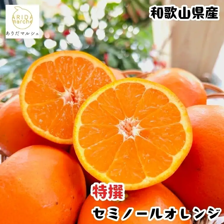 特選 セミノールオレンジ 3kg+200g(補償分)　【2027年4月上旬～5月下旬頃に順次発送予定】【ard802A】