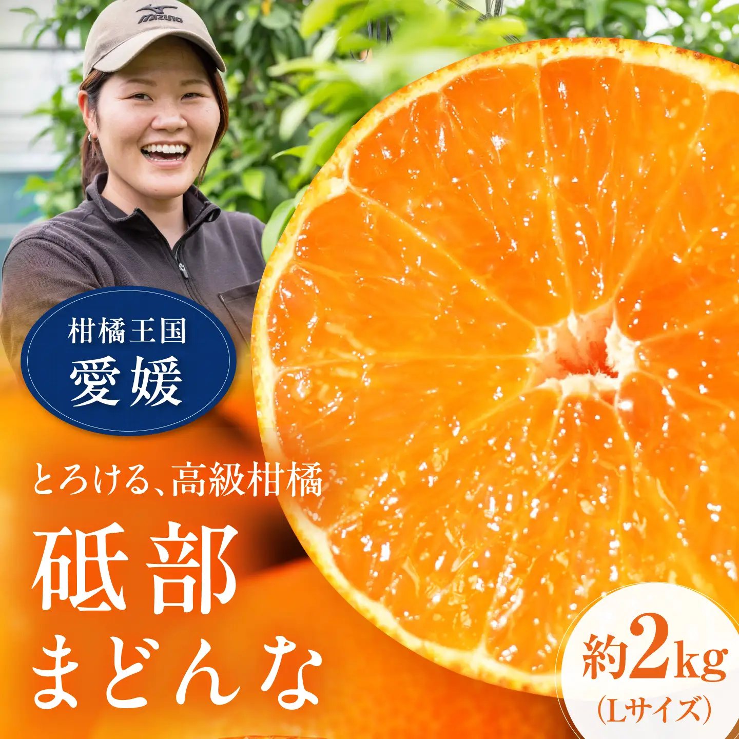 みかん 紅まどんな 約2kg【11月中旬から12月下旬まで順次発送】/ フルーツ 果物 柑橘 蜜柑 ミカン オレンジ まどんな マドンナ 紅マドンナ 砥部まどんな 愛果28号 約2kg 甘い 先行予約 箱 贈答 ギフト プレゼント / 愛媛県砥部町/TOBE Orange Lab[BJCY001]