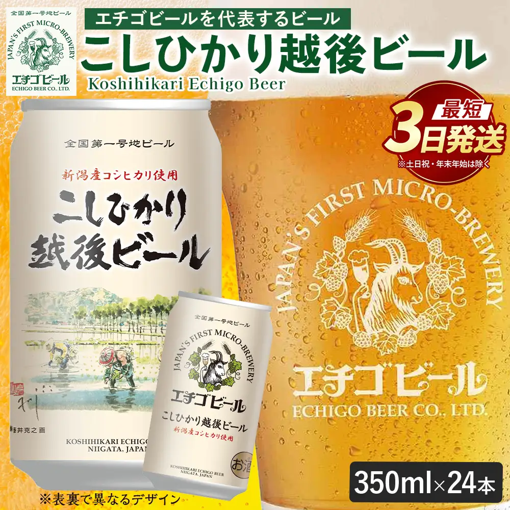 クラフトビール エチゴビール こしひかり越後ビール 350ml 缶 24本 〔P-447〕【最短3日発送】地ビール コシヒカリ 那須町