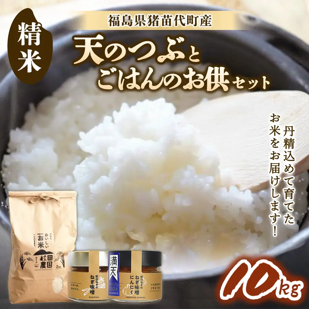 【セット】 お米 天のつぶ 10㎏とごはんのお供（軟白ねぎのねぎ味噌とねぎ味噌にんにく）セット | 生産者直送 白米 精米 ネギみそ 葱味噌 葱みそ おかず