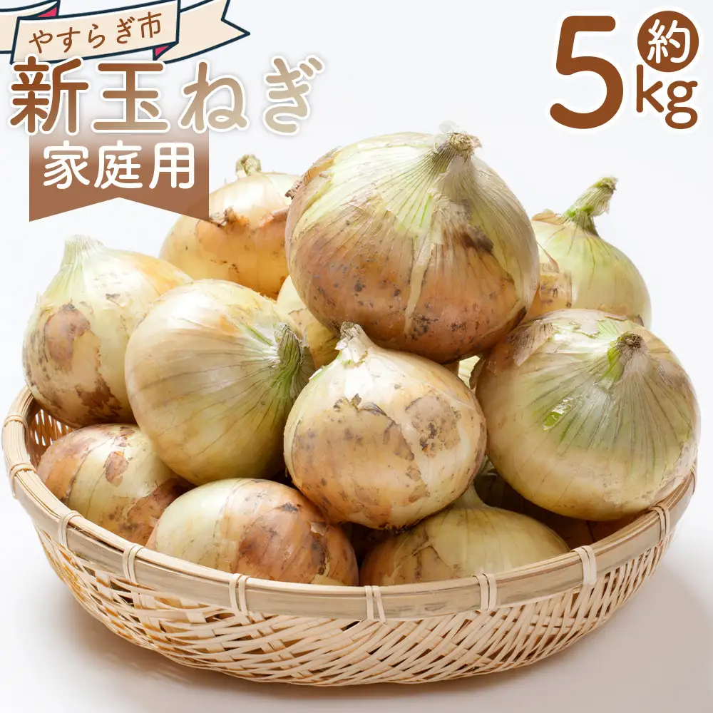 【先行予約】 新玉ねぎ ５ｋｇ 家庭用 yr-0122