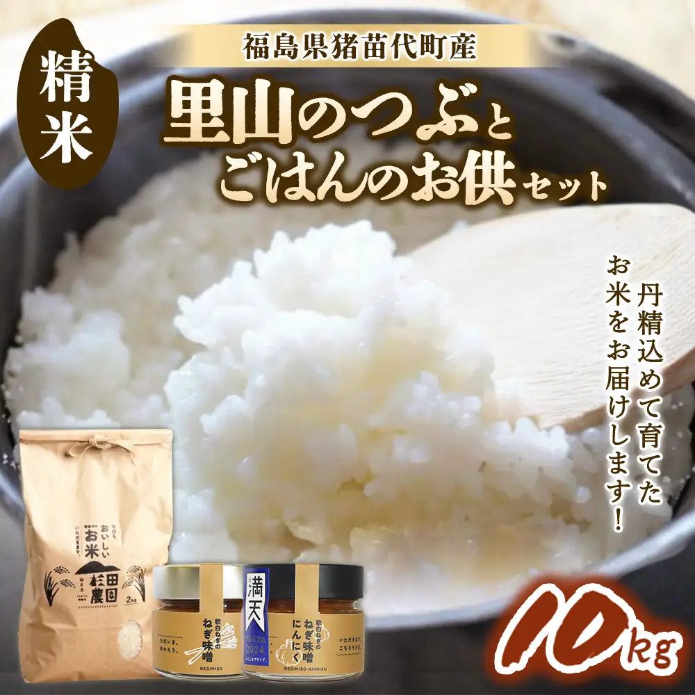 【セット】 お米 里山のつぶ 10㎏とごはんのお供（軟白ねぎのねぎ味噌とねぎ味噌にんにく）セット | 生産者直送 白米 精米 ネギみそ 葱味噌 葱みそ おかず