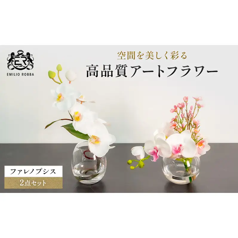 エミリオロバ　ファレノプシス2点セット
