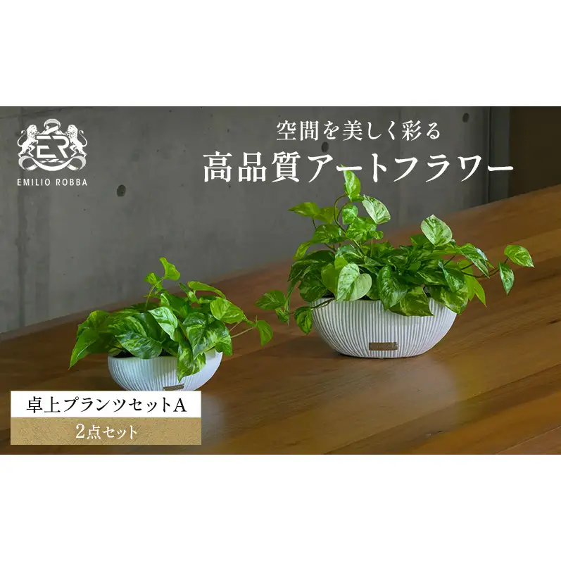 エミリオロバ　卓上プランツＡセット