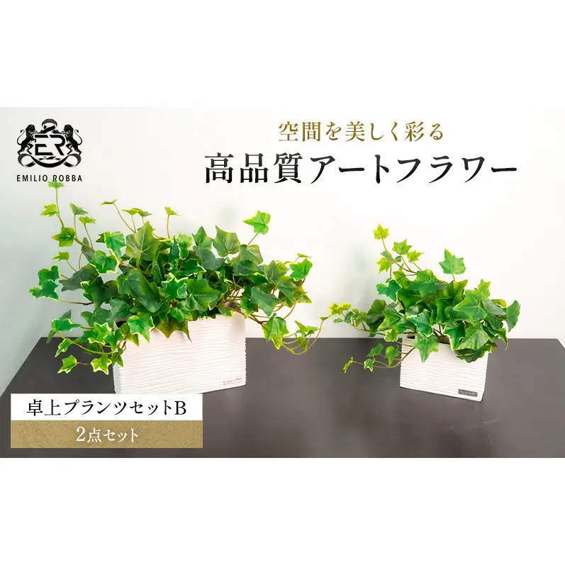 エミリオロバ　卓上プランツＢセット