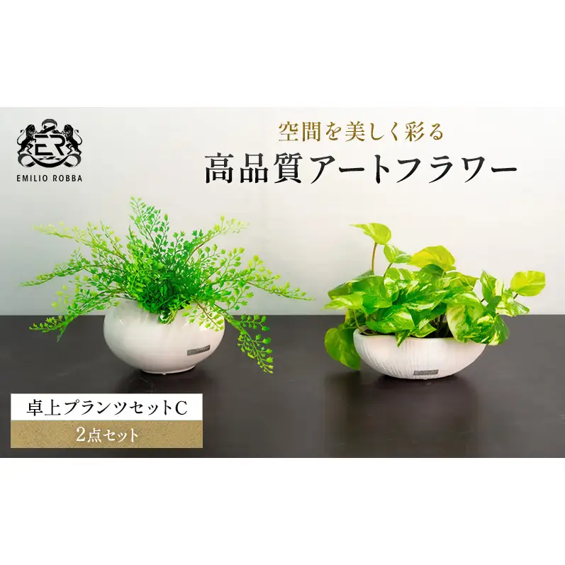 エミリオロバ　卓上プランツセットＣ