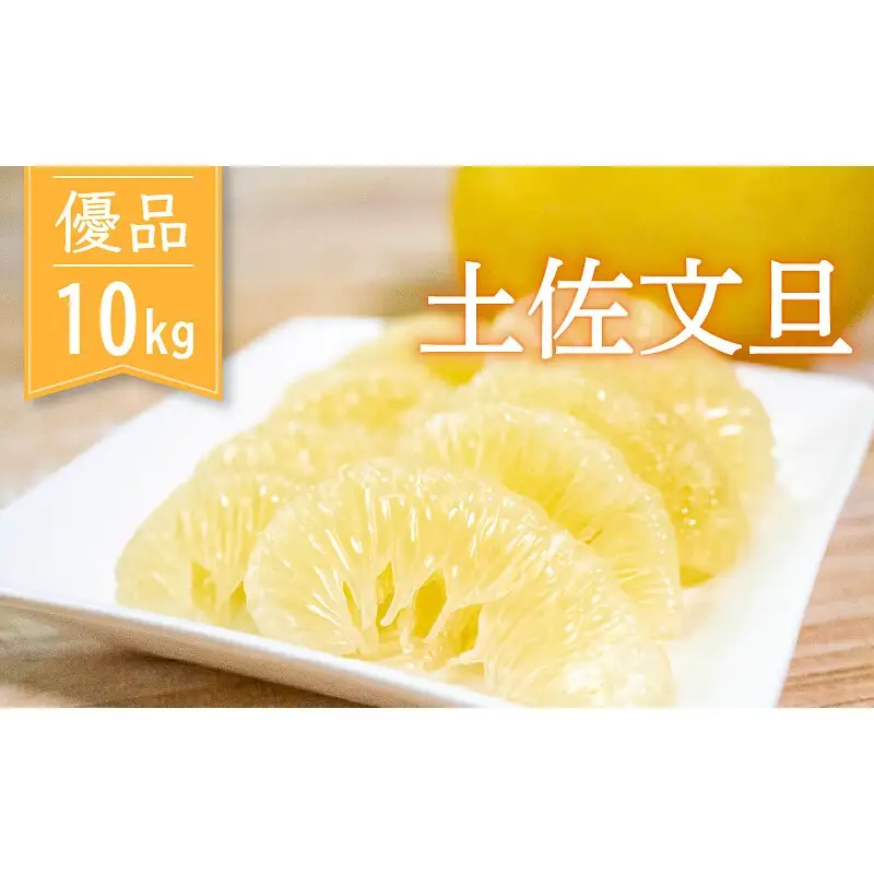 土佐文旦 優品 10kg　先行予約 2027年２月から順次発送 高知県産 
