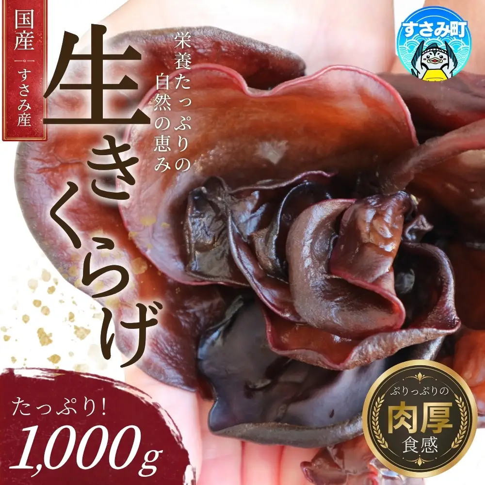 【国産】 きくらげ すさみの生きくらげ 1000g 木耳 キクラゲ 生木耳 生キクラゲ 国産キクラゲ 国産きくらげ 国産木耳【scp134】