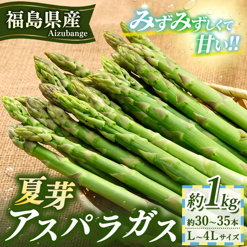 60-C 夏芽アスパラガスL～4Ｌサイズ1kg(約30～35本) ※2026年7月～発送