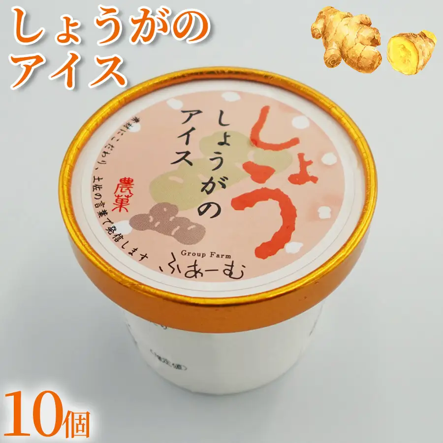 【アイス】 しょうがのアイス 100ml × 10個 アイス アイスクリーム