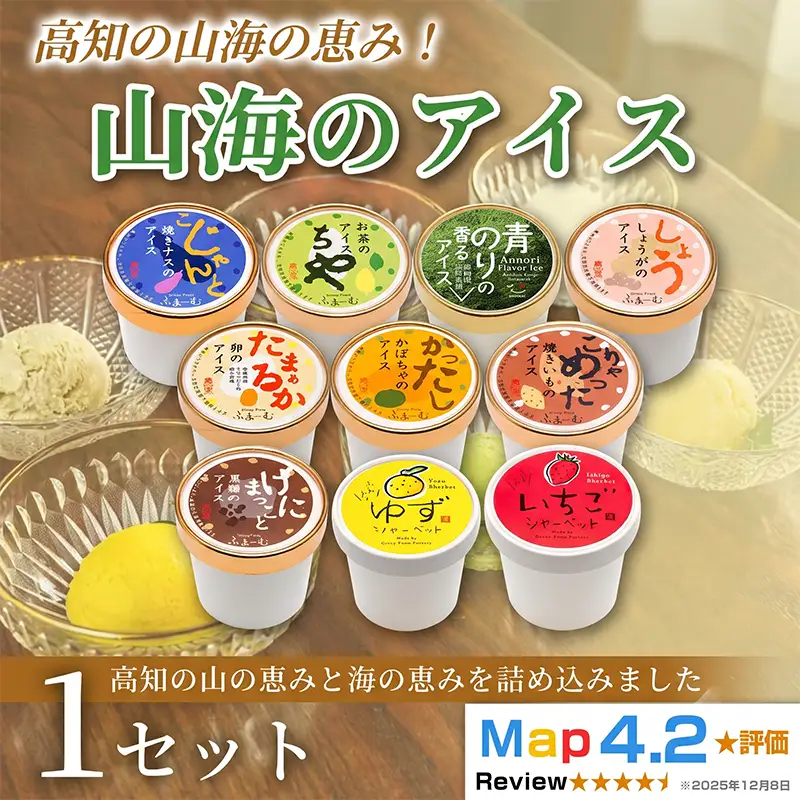 山海のアイス 100ml×10個 アイス_BQ117 13,680円