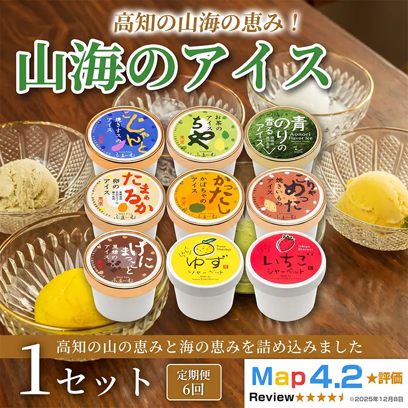 山海のアイス 100ml×10個 定期便 6回 アイス_BQ119