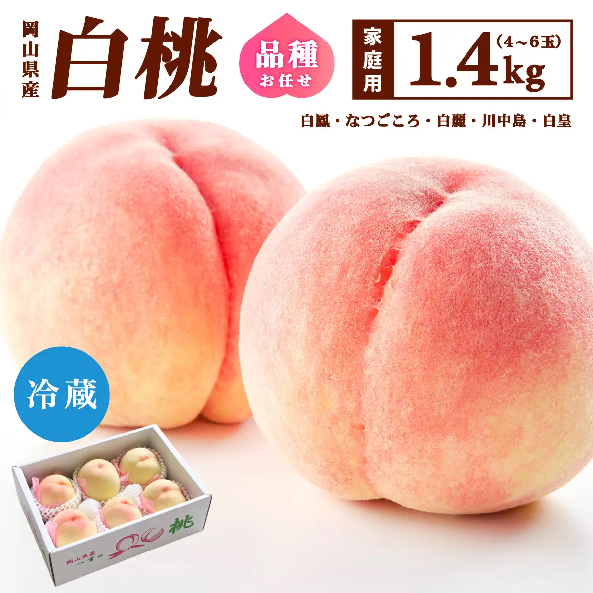 【家庭用】岡山県産 旬の桃 白桃 品種おまかせ 1.4kg