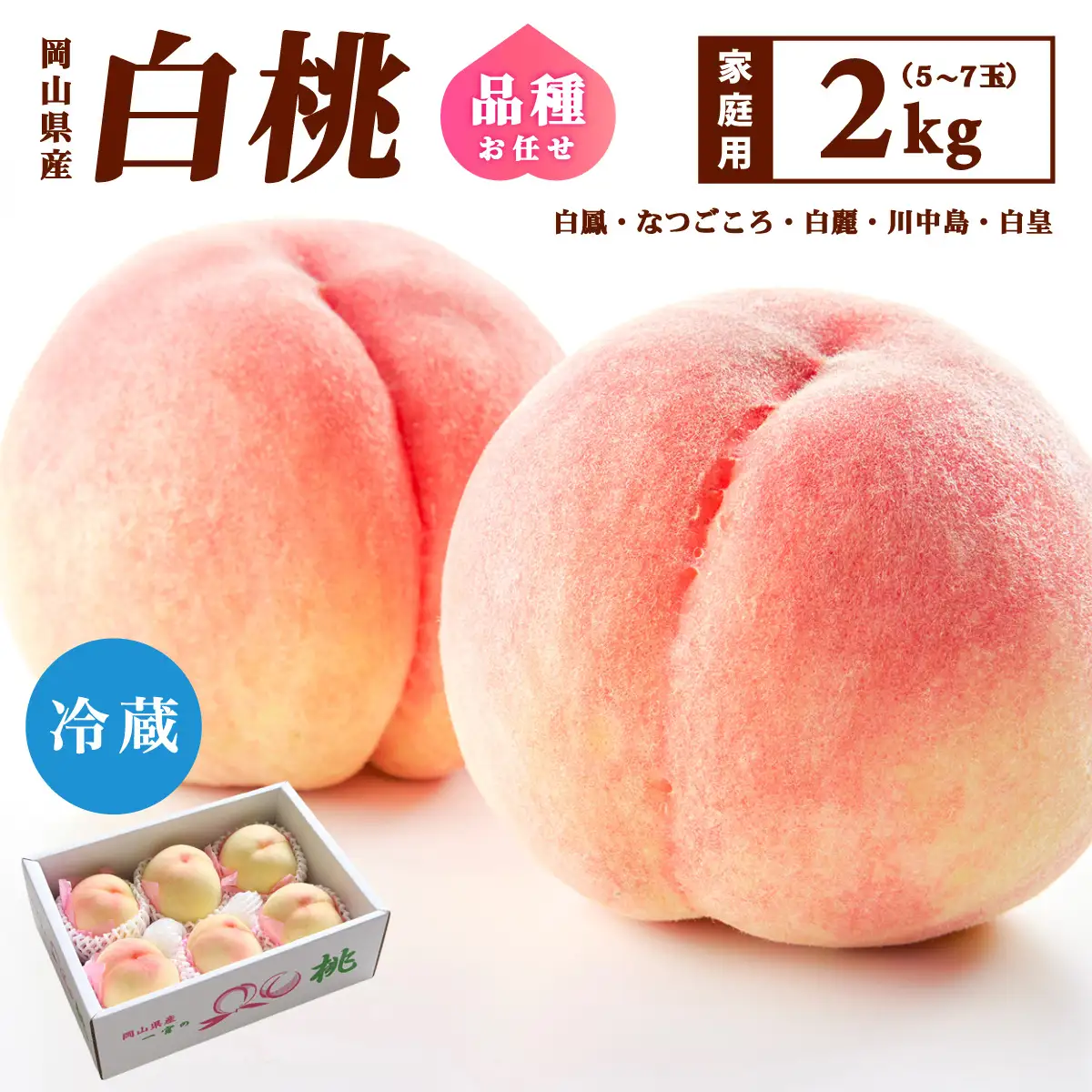 【家庭用】岡山県産 旬の桃 白桃 品種おまかせ 2kg