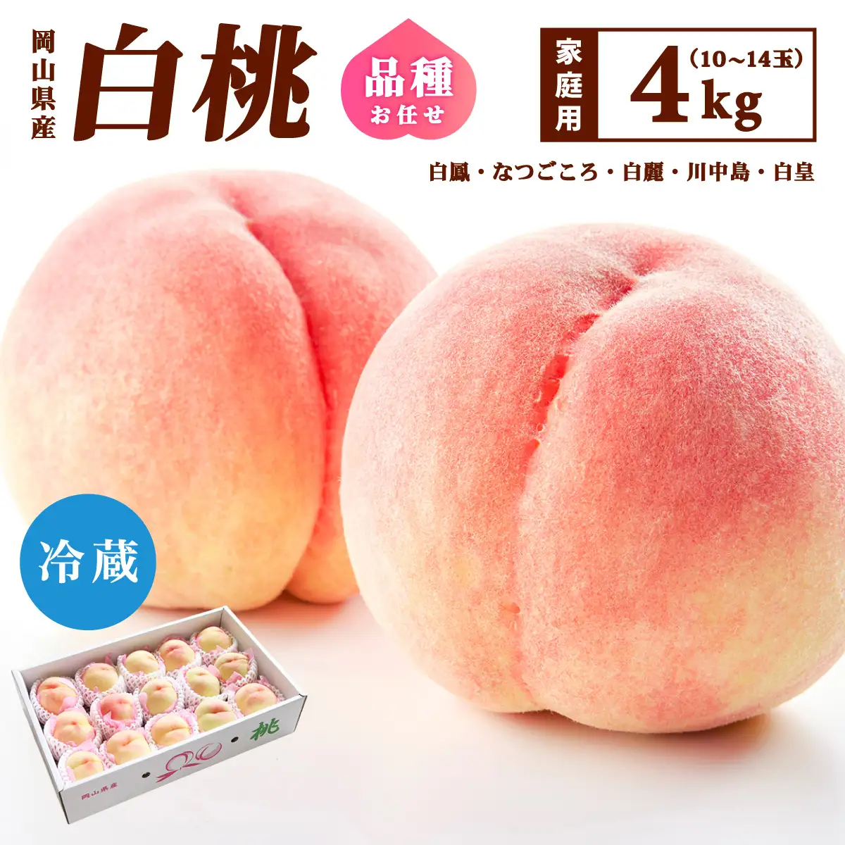 【家庭用】岡山県産 旬の桃 白桃 品種おまかせ 4kg