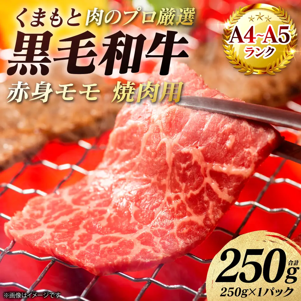 牛肉 くまもと黒毛和牛 赤身 モモ 焼肉用 250g （250g×1パック） A4～A5ランク 牛肉