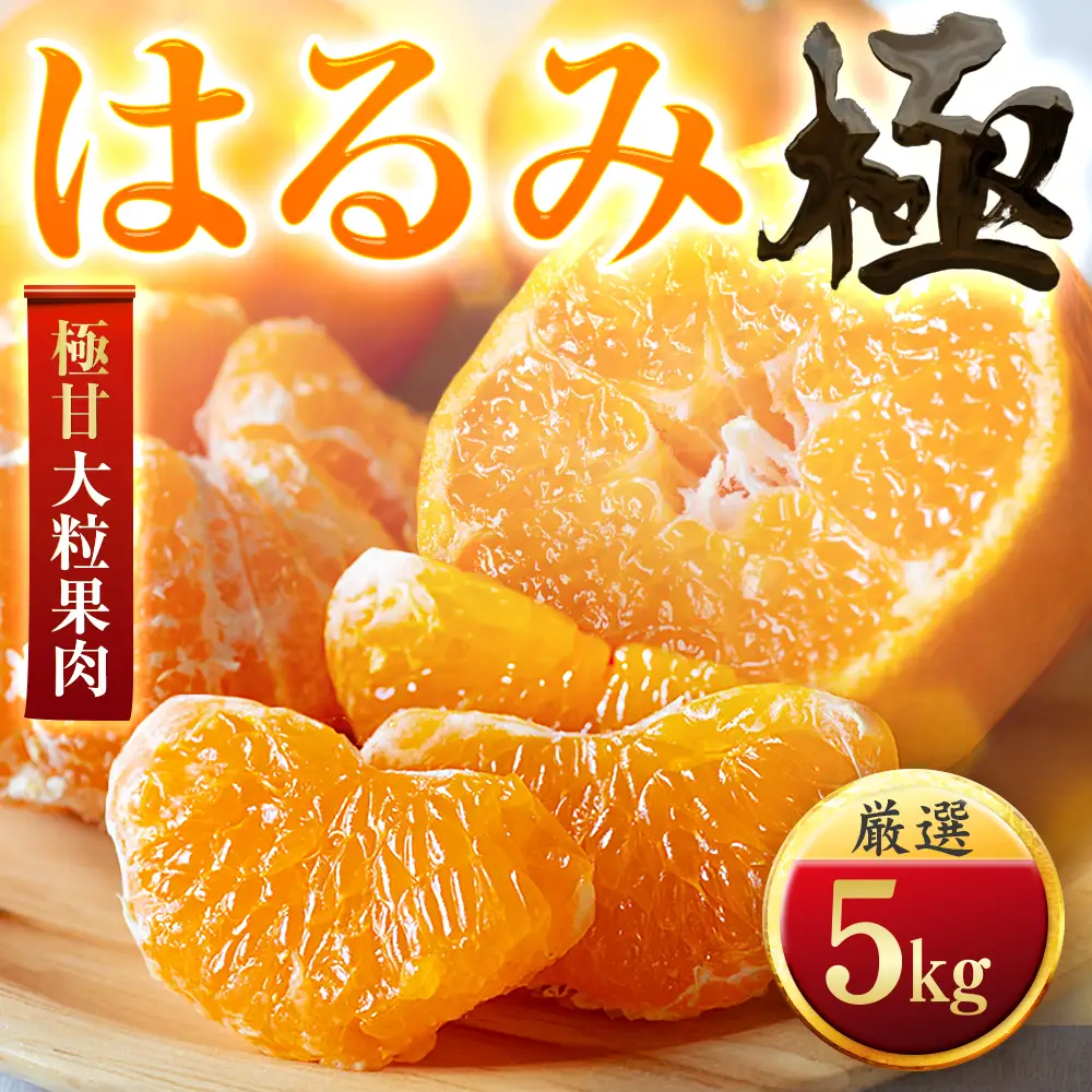 【先行受付】【果汁あふれる】とろ甘食感 はるみ　5kg　愛媛県産【49-120】【1741172】　YWTZ091