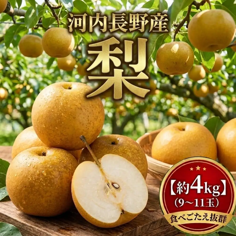 ＜2026年8月下旬頃～発送＞【河内長野産】梨　9~11玉 約4kg 期間限定