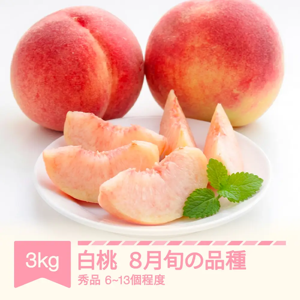 桃 品種おまかせ 8月旬の白桃 秀品 約3kg (6～13個程度) nf-mohtx3-8f