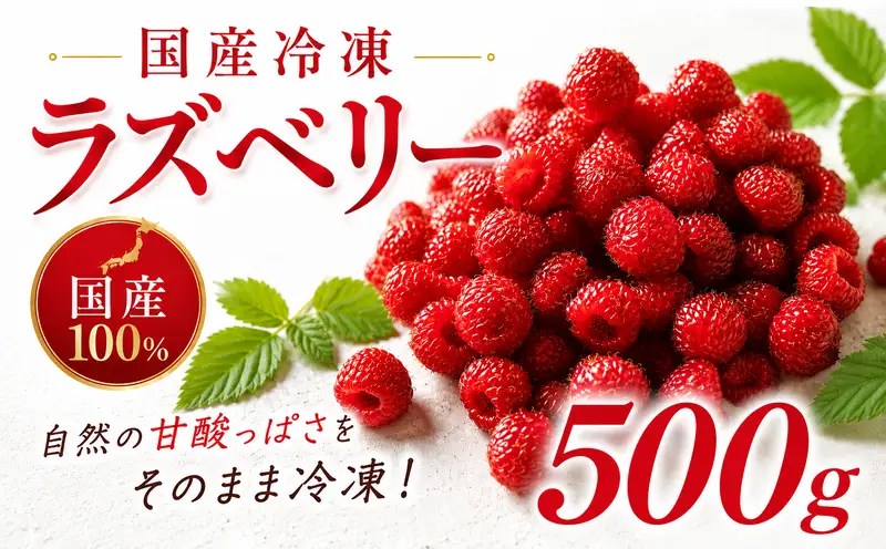 国産 冷凍ラズベリー 500g 【 ラズベリー 】
