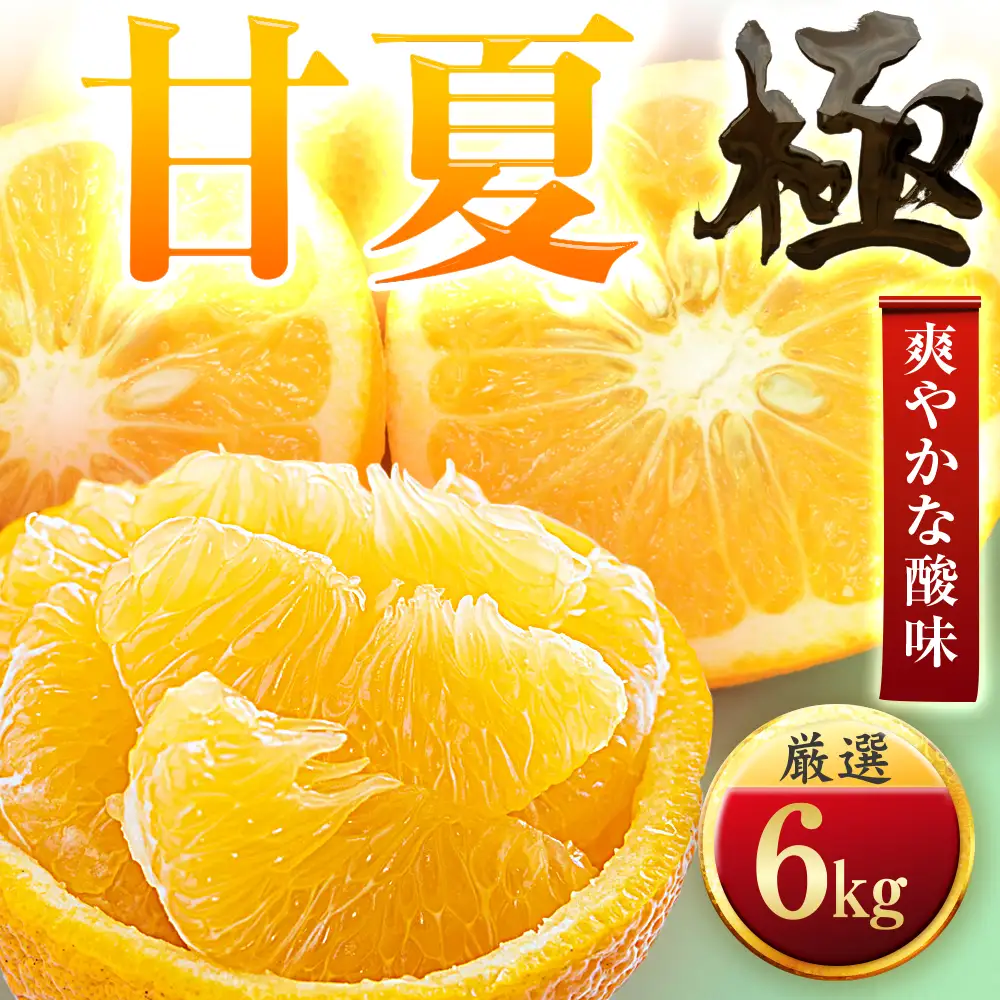 【先行受付】【クセになる爽やかさ】甘夏【極】6kg　愛媛県産【C49-85】【1621797】YWTZ102