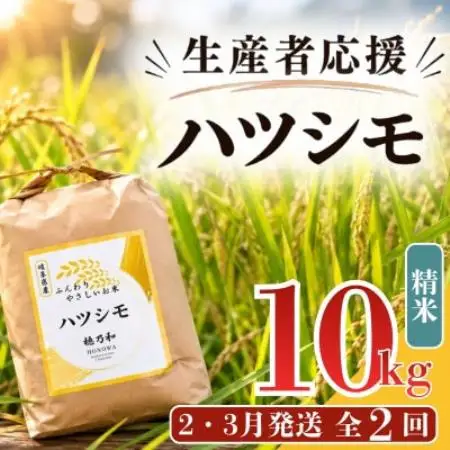 【発送月固定定期便】【先行予約】生産者応援!岐阜県産ハツシモ(精米)10kg【2・3月発送】全2回【配送不可地域：離島】【4089357】