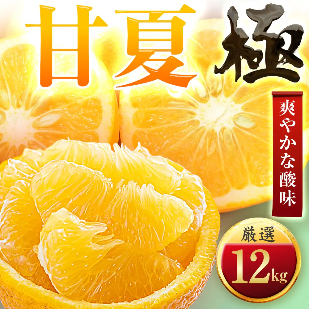 【先行受付】【クセになる爽やかさ】甘夏【極】12kg　愛媛県産【F49-86】【1621798】YWTZ103
