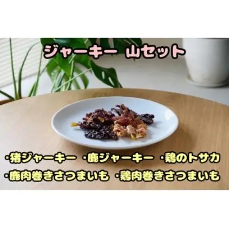 【ふるさと納税限定セット】【わんちゃん用ペットフード】 WalkyHoliday ジャーキー山セット【1754029】