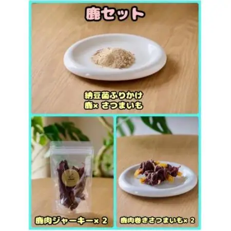 【ふるさと納税限定セット】【わんちゃん用ペットフード】 WalkyHoliday 鹿セット【1754034】