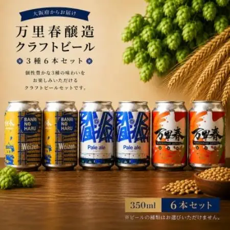 【ブルワー厳選】 万里春醸造クラフトビール 3種飲み比べ 6本セット【配送不可地域：離島】【1754514】