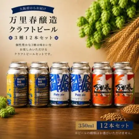【ブルワー厳選】 万里春醸造クラフトビール 3種飲み比べ 12本セット【配送不可地域：離島】【1754515】
