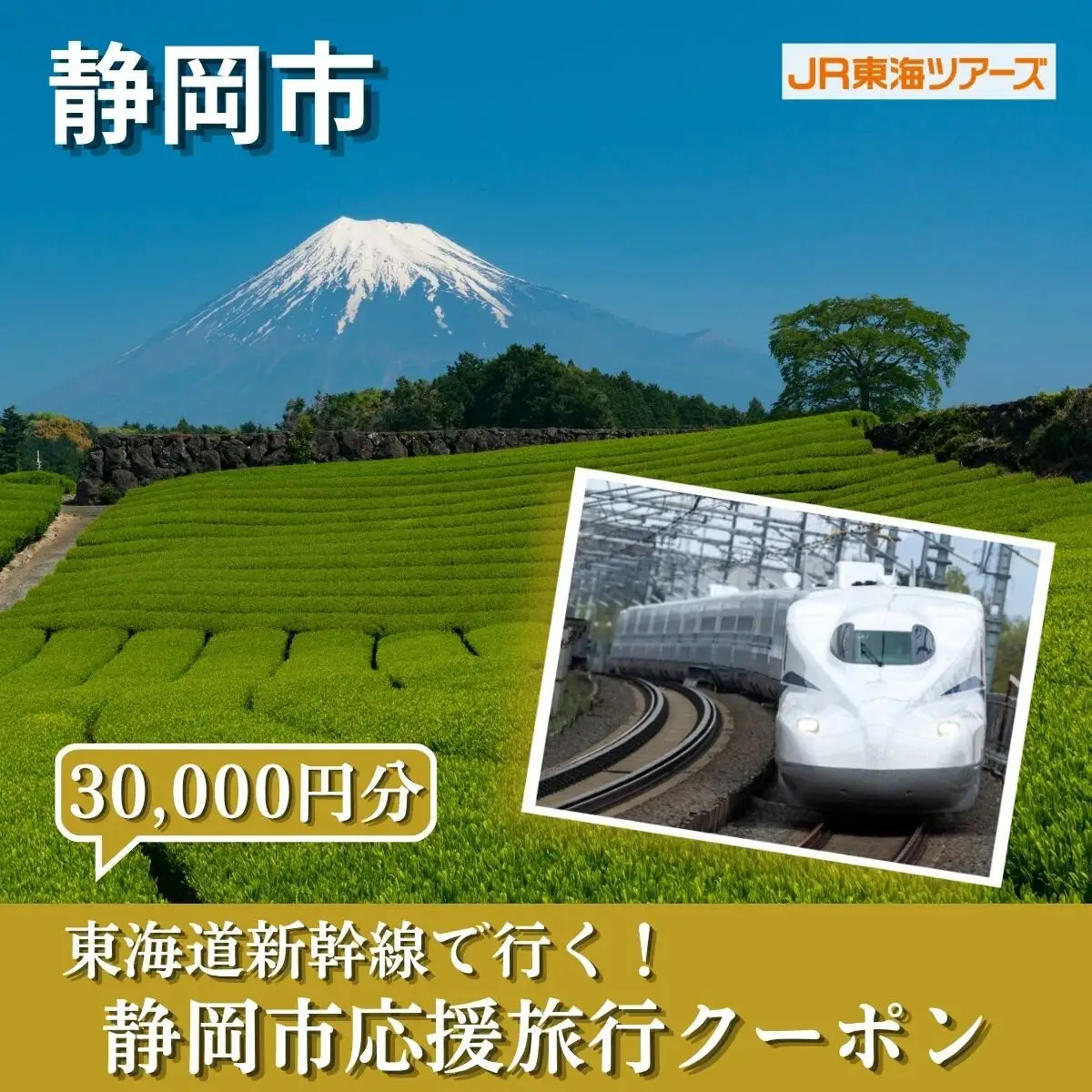 【静岡市】東海道新幹線で行く！応援旅行クーポン　30,000円分 | 静岡 旅行 観光 新幹線 JR 人気 おすすめ 娯楽 休暇 ふるさと納税