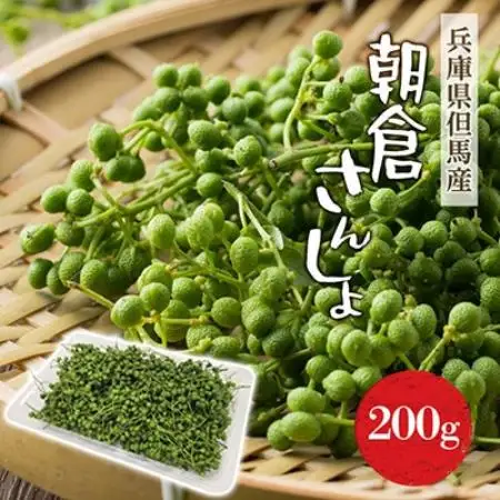 2027年先行予約5月下旬～発送 朝倉さんしょ 200g 生 実山椒 クール便冷蔵 兵庫県産 直送【配送不可地域：離島】【1746873】