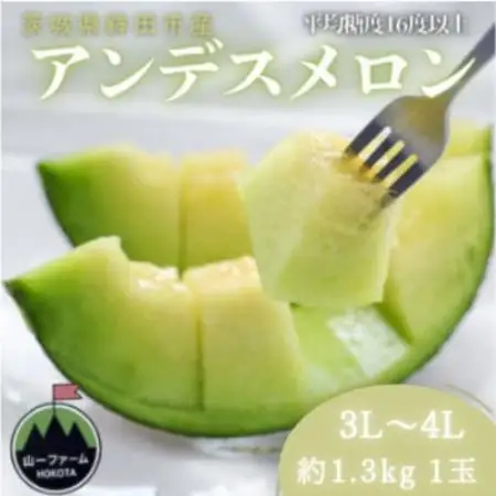 【先行受付】令和9年4月より順次発送 茨城県鉾田市 山一ファーム アンデスメロン 3L～4L・1玉【配送不可地域：離島・沖縄県】【1759307】