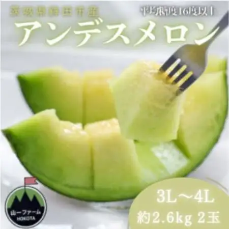 【先行受付】令和9年4月より順次発送 茨城県鉾田市 山一ファーム アンデスメロン 3L～4L・2玉【配送不可地域：離島・沖縄県】【1759309】