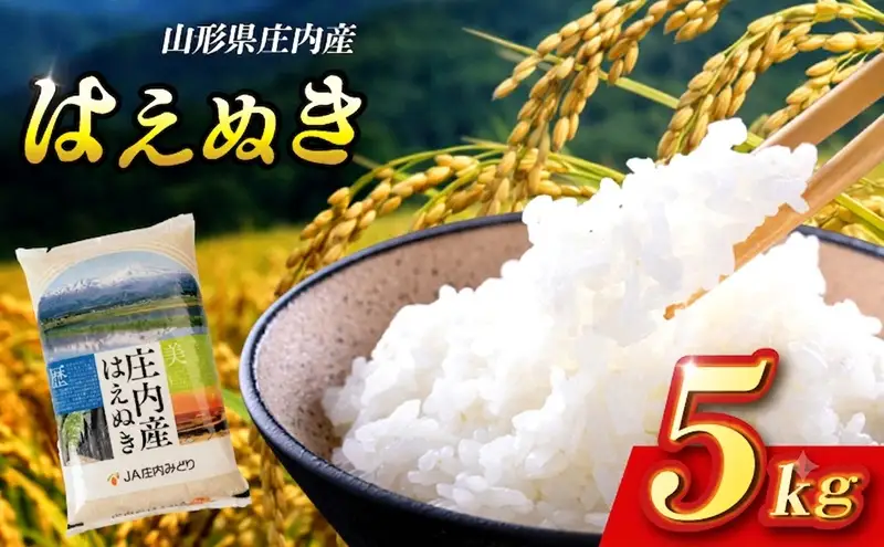 SZ0410　11月上旬配送／令和8年産【精米】庄内産 はえぬき　5kg×1袋 JM
