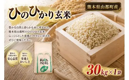 玄米30キロ (令和７年産) ヒノヒカリ 令和7年度産 】 熊本県山都町産 ひのひかり 玄米30kg × 1 米 お米