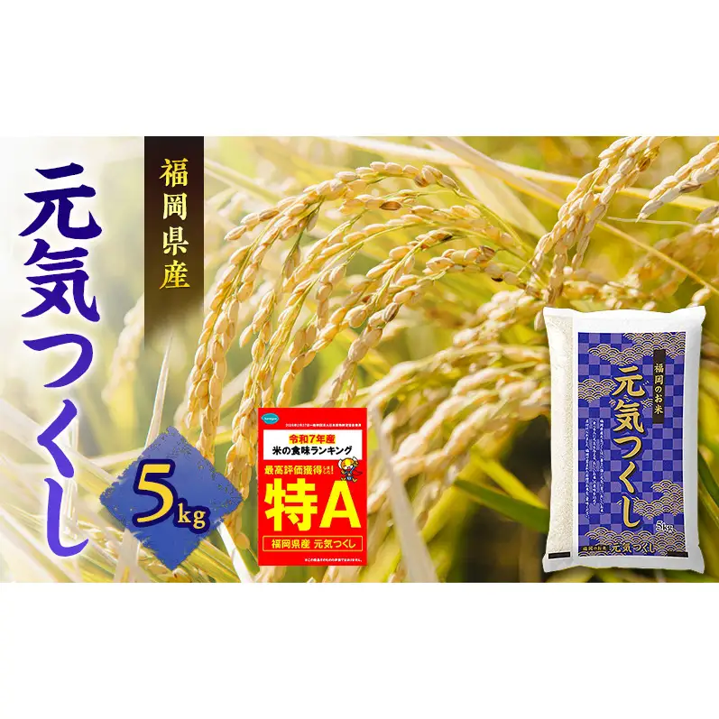 米 元気つくし 5kg | 福岡県朝倉市 | ふるさと納税サイト「ふるなび」