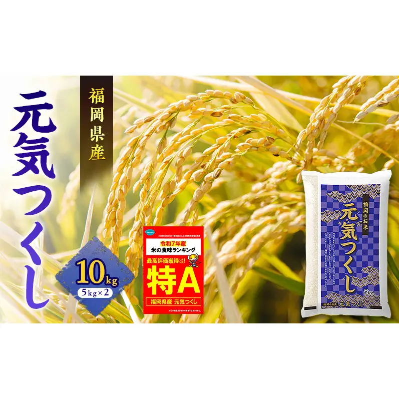 米 元気つくし 10kg 令和8年産 米 お米