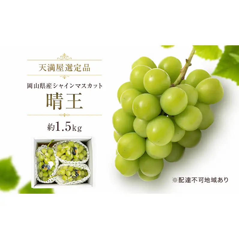 【天満屋選定品】岡山県産 シャインマスカット 晴王 約1.5kg（2026年発送）