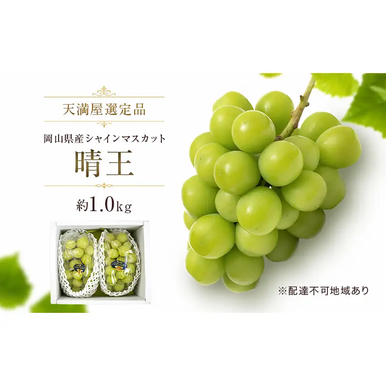 【天満屋選定品】岡山県産 シャインマスカット 晴王 約1.0kg（2026年発送）