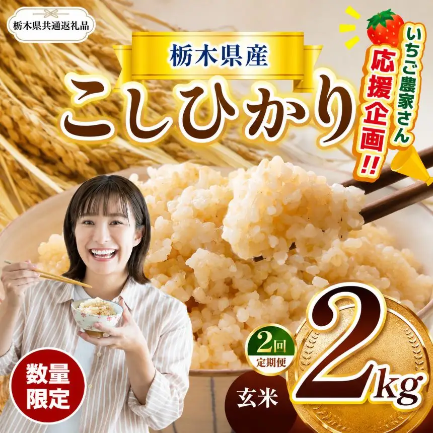 【先行予約】【令和8年度産】 栃木県産コシヒカリ 2kg 
