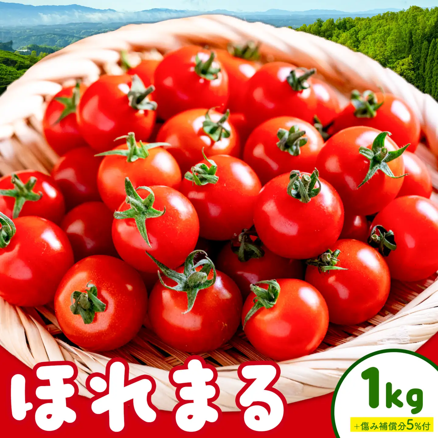 ミニトマト ほれまる 約1kg 熊貴農園