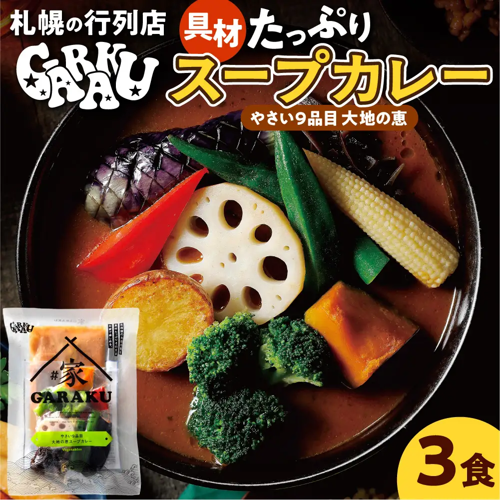 家GARAKU やさい9品目大地の恵スープカレー | スープカレー GARAKU 札幌スープカレー カレー 北海道 札幌市 16,500円