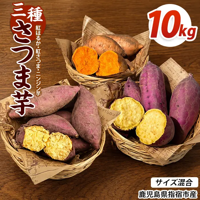 【2026年10月上旬～順次発送】＜訳あり＞鹿児島県産 さつまいも 3種詰め合わせ 約10kg (アグリファースト/IB162-004)