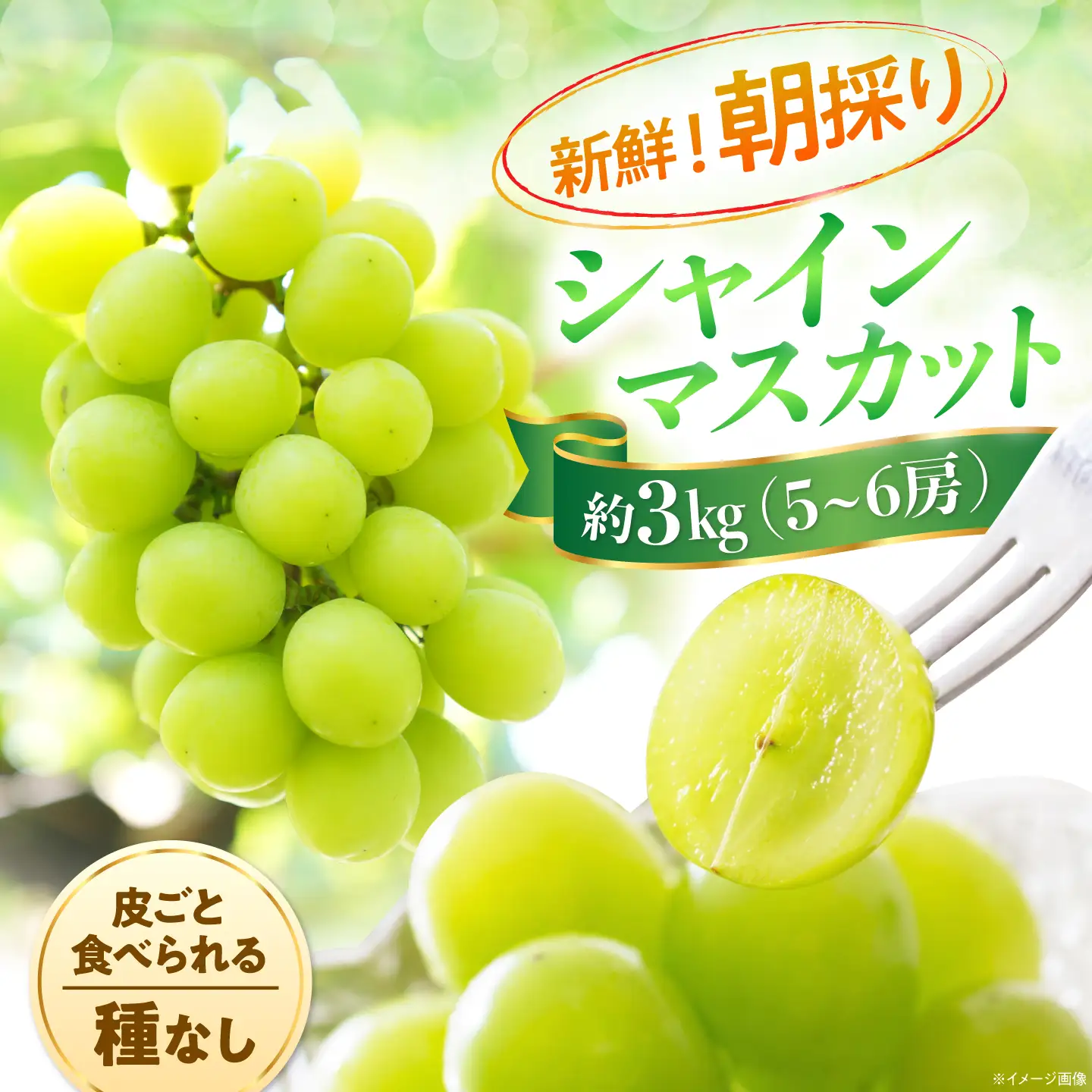 【先行予約/2026年8月下旬発送】シャインマスカット 約3kg BKCA002