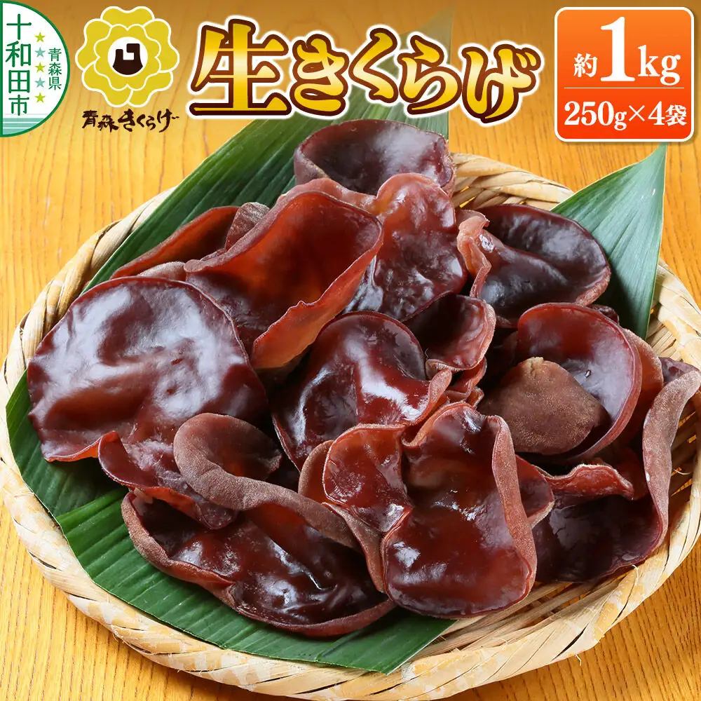 青森きくらげ（生キクラゲ）約1kg（約250g×4袋）十和田市産