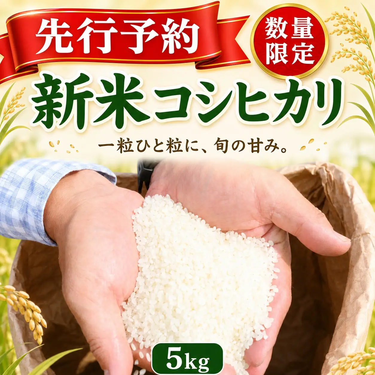【新米】 令和8年産 先行予約 「コシヒカリ」 5kg ｜ 新米
