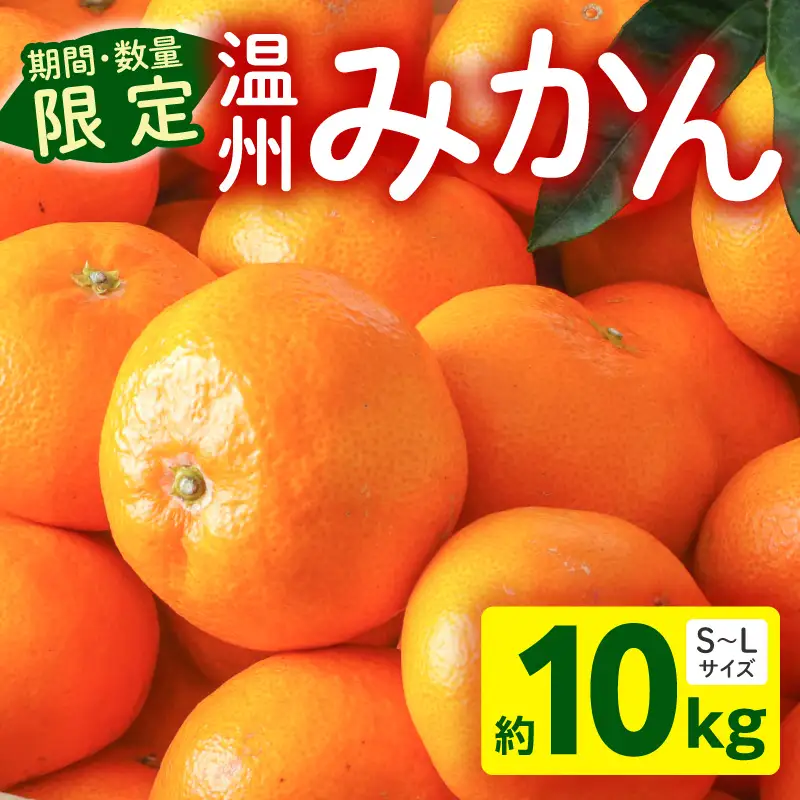 果物 温州みかん 果物[10kg 2026年～2027年発送先行予約]