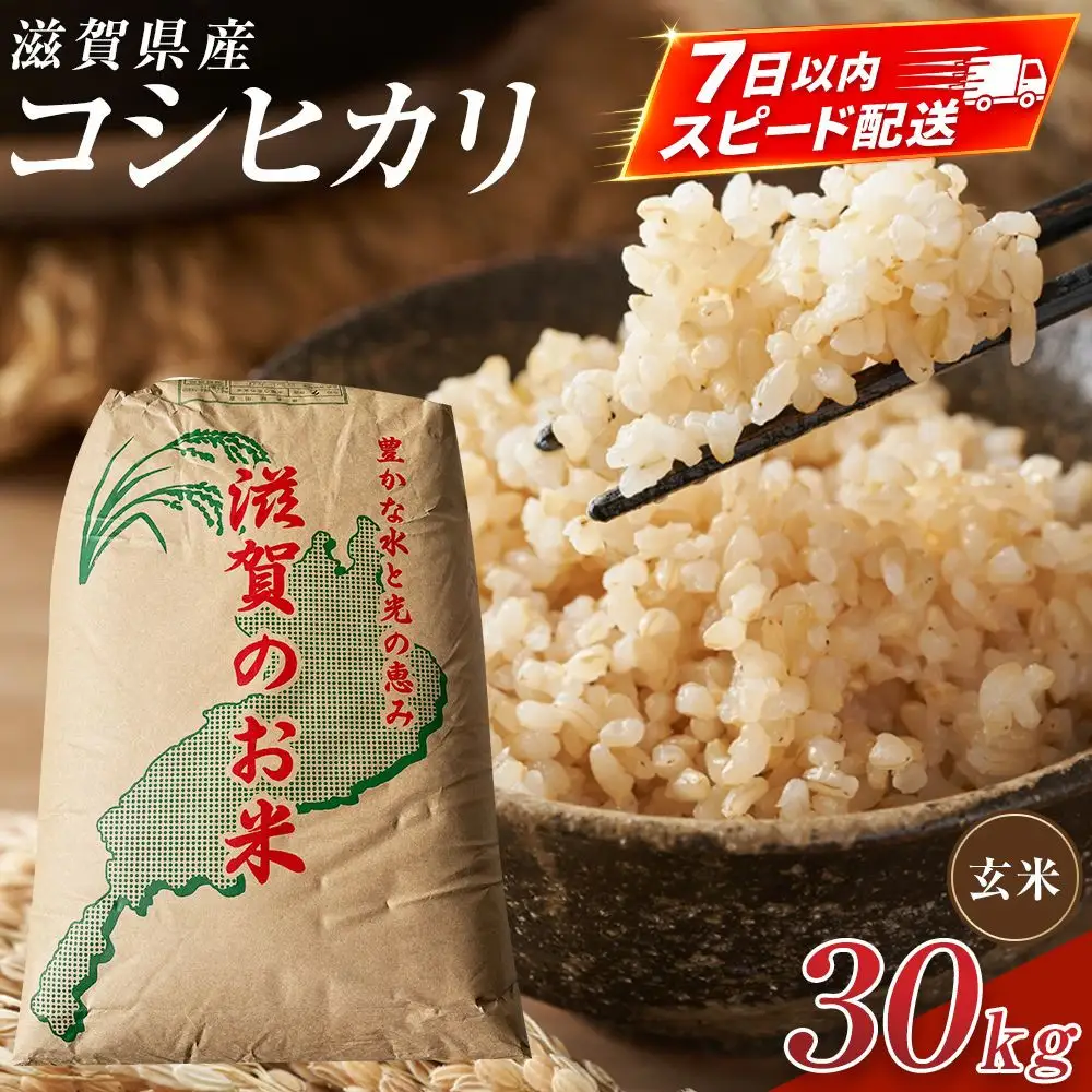 令和7年産】近江米コシヒカリ玄米30kg | 滋賀県（県庁） | ふるさと